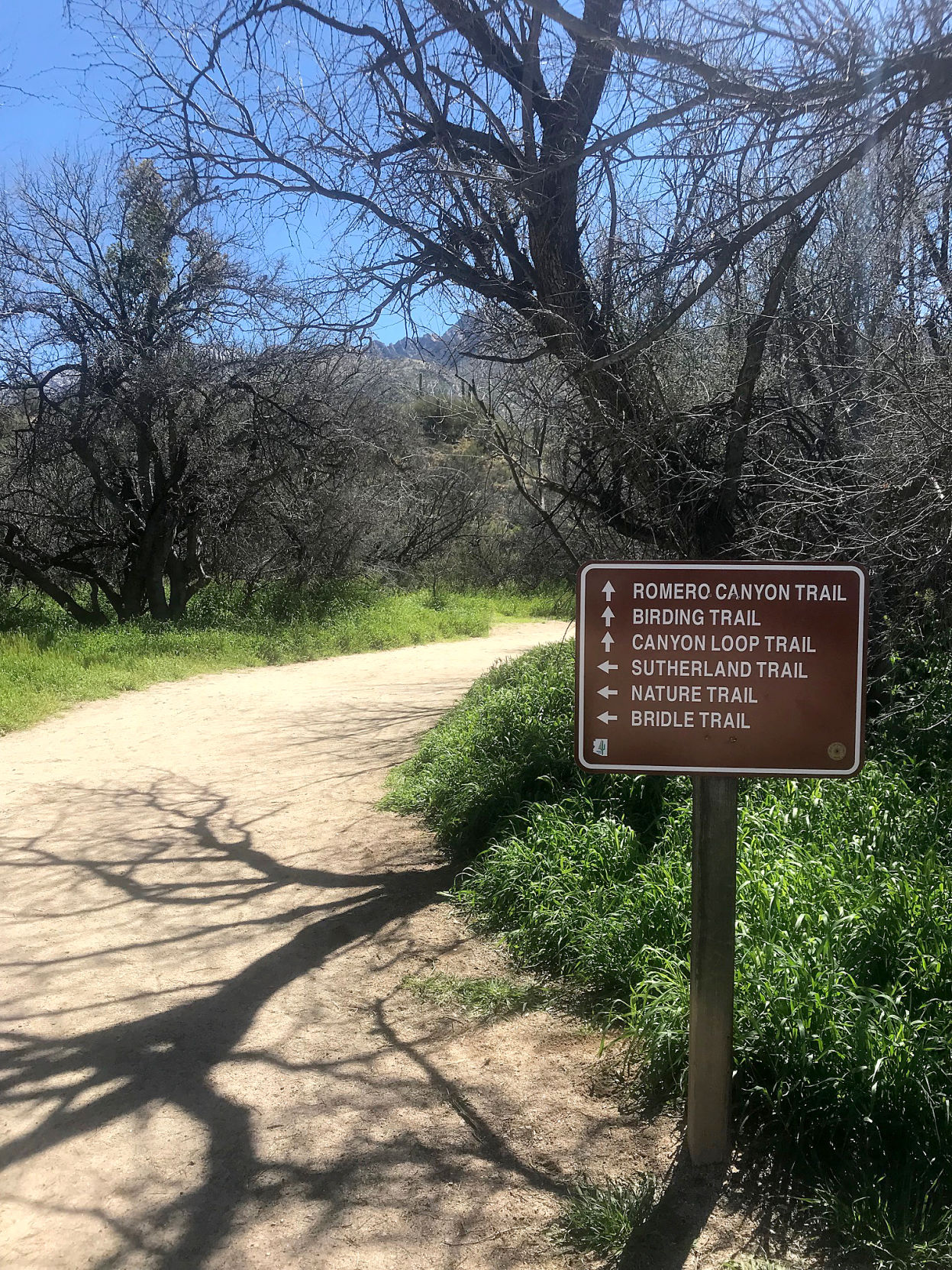 Trail head